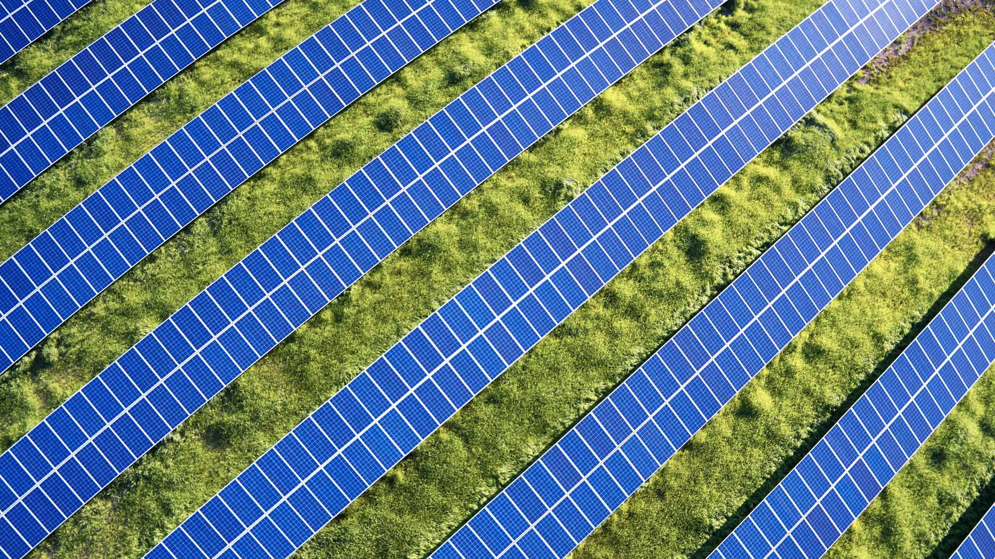 investing green regional, ökologisch und nachhaltig investieren. I